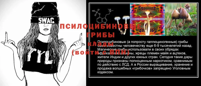 Псилоцибиновые грибы Psilocybine cubensis  Красноперекопск 